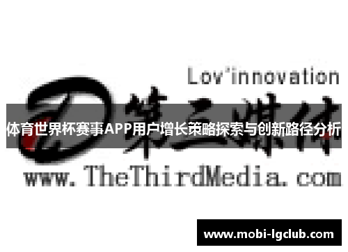 体育世界杯赛事APP用户增长策略探索与创新路径分析