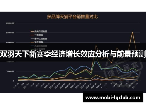 双羽天下新赛季经济增长效应分析与前景预测