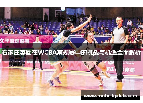 石家庄英励在WCBA常规赛中的挑战与机遇全面解析