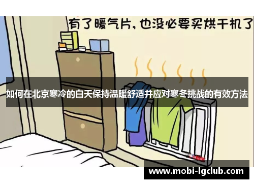 如何在北京寒冷的白天保持温暖舒适并应对寒冬挑战的有效方法