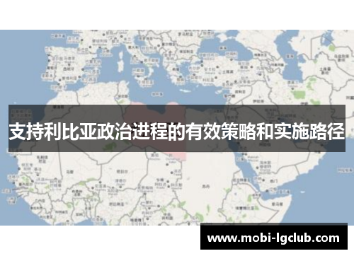支持利比亚政治进程的有效策略和实施路径