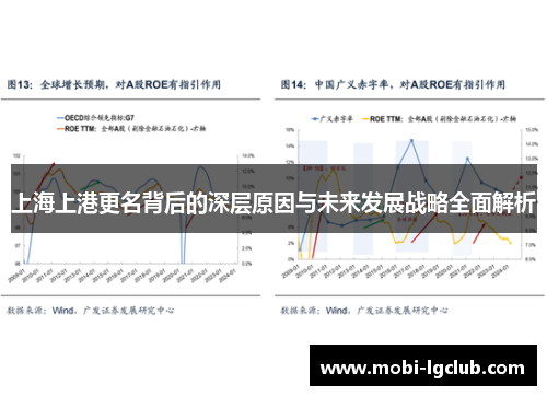 上海上港更名背后的深层原因与未来发展战略全面解析
