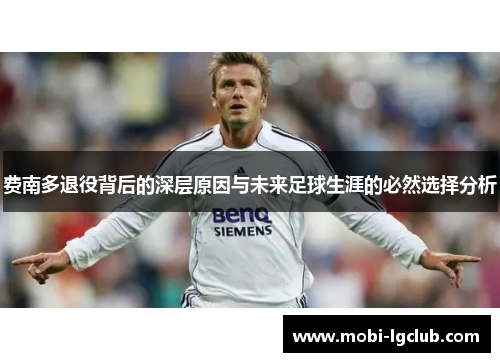 费南多退役背后的深层原因与未来足球生涯的必然选择分析