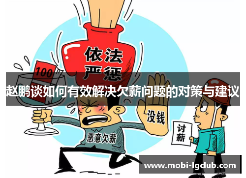 赵鹏谈如何有效解决欠薪问题的对策与建议