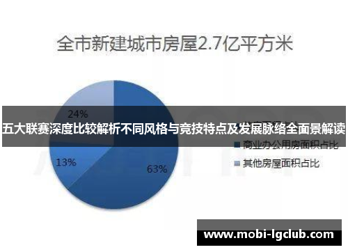 五大联赛深度比较解析不同风格与竞技特点及发展脉络全面景解读