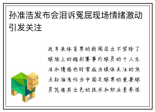 孙准浩发布会泪诉冤屈现场情绪激动引发关注 孙准浩发布会泪诉冤屈现场情绪激动引发关注